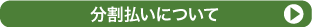ɂ