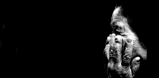 �X���[���A�b�N�X�@WEB�f�U�C������