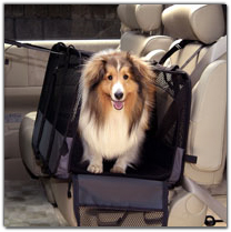 �J���\�j�b�N�ԍڗp�y�b�g�p�i�J�^���O